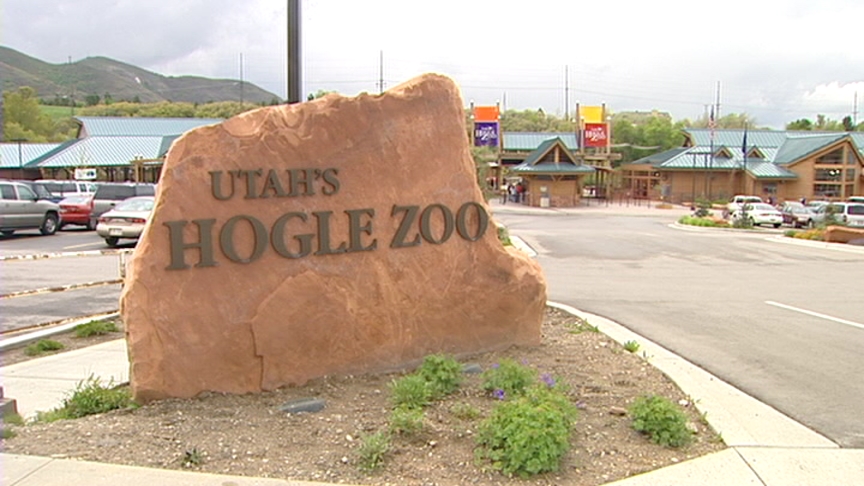Hogle Zoo announces death of capuchin monkey, Jocco