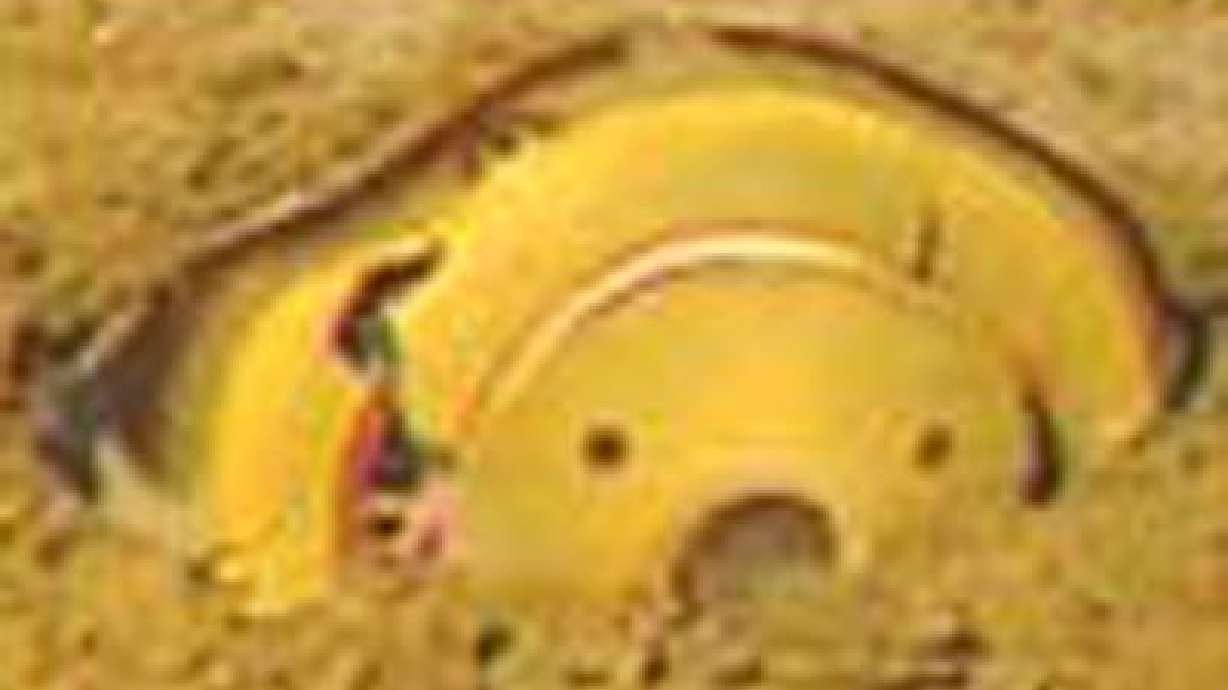 Report: Backward Switch Led to Crash of Genesis