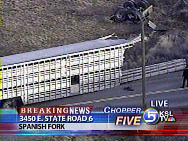 Train Hits Semi Carrying Sheep