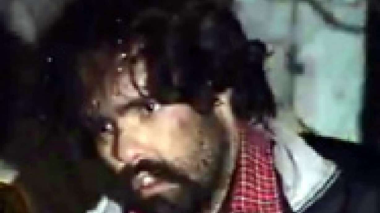 Police Dog Finds Suspected Car Thief