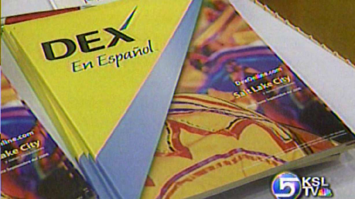 Businesses Tapping Into Hispanic, Latino Markets