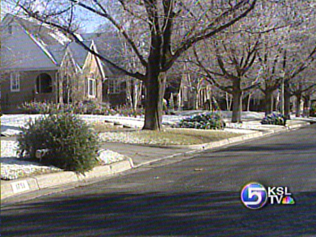 Christmas Trees Staying Curbside Longer