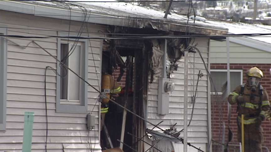 Firefighters Rescue Dog from Burning Home