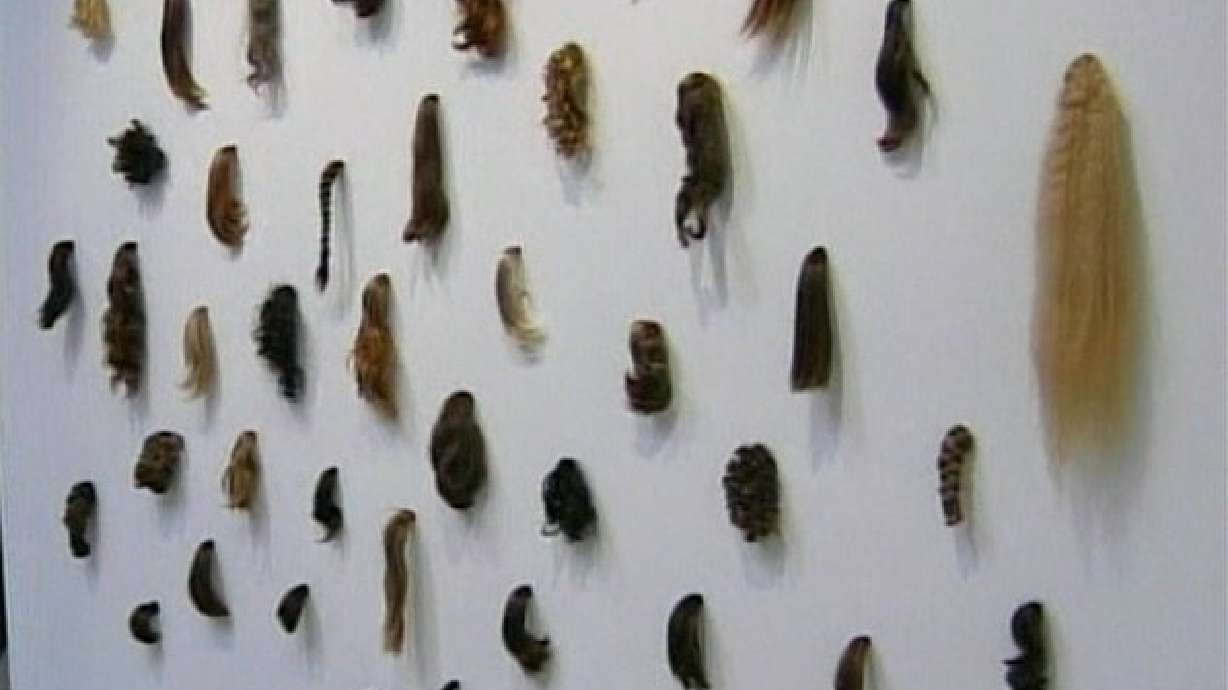 Art Exhibit Made Entirely of Human Hair