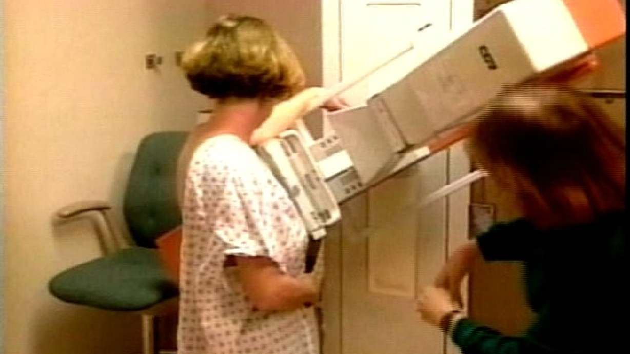 Study Highlights Environment's Role in Risk of Breast Cancer