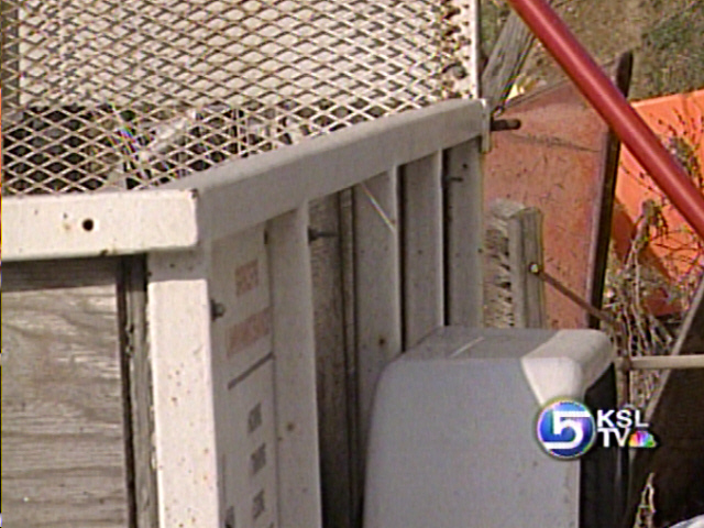 Burglar Steals Tools, Beats Dog