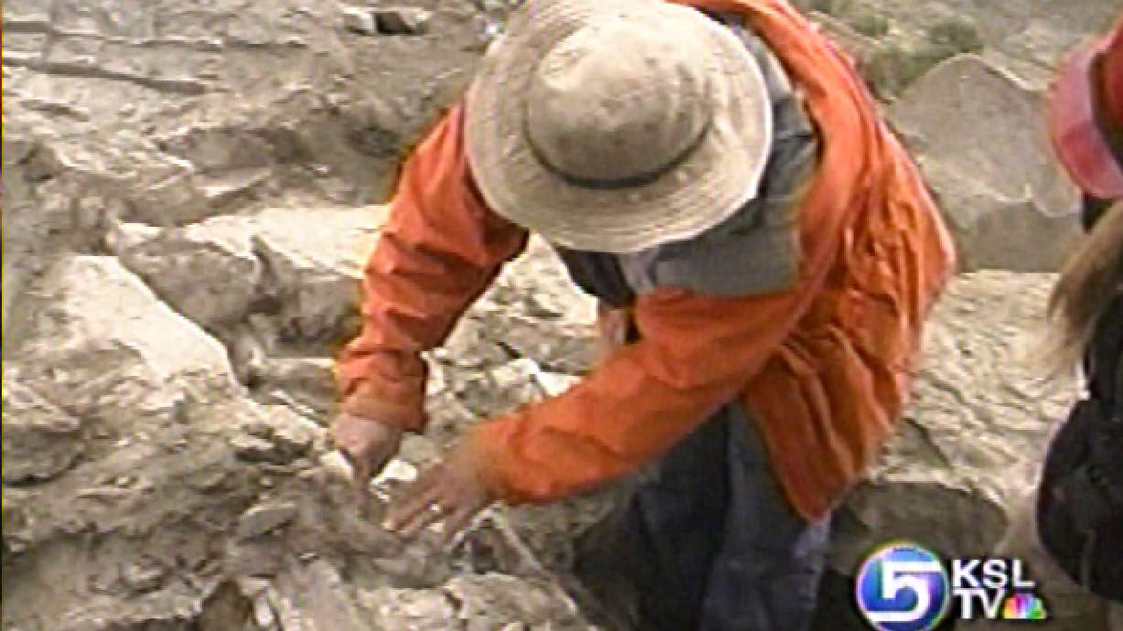 Bill Would Limit Archaeologists' Role in Excavations