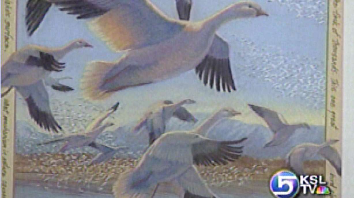 Artist Captures Experiences of Nature