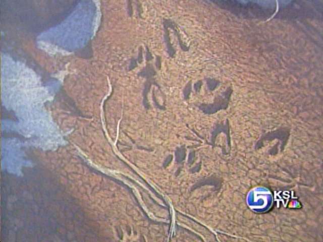 Artist Captures Experiences of Nature