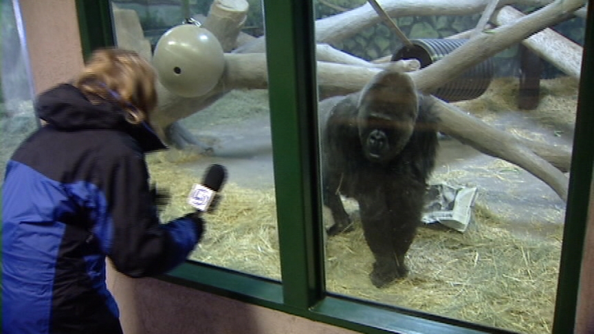 Hogle Zoo Animals Have Their Say of Weather for Groundhog Day