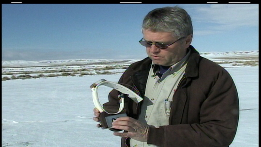 GPS Collars Will Track Bighorn Sheep in Recreation Areas