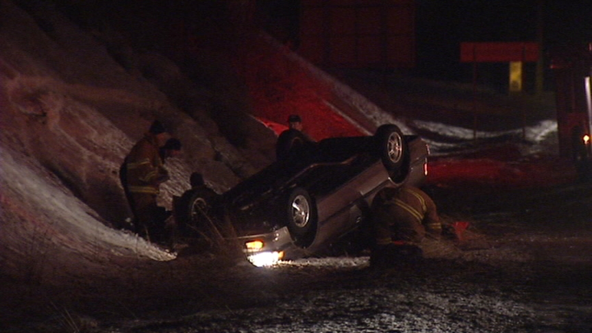 Motorist Hits Moose in Parley's Canyon