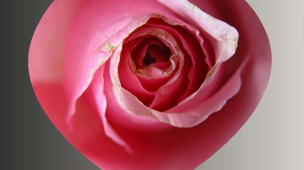 Valentines Day Photo Gallery