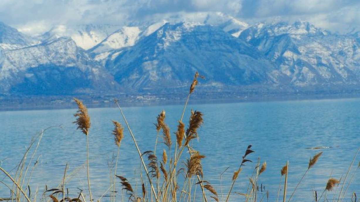 What are all those funky codes on a weather observation?