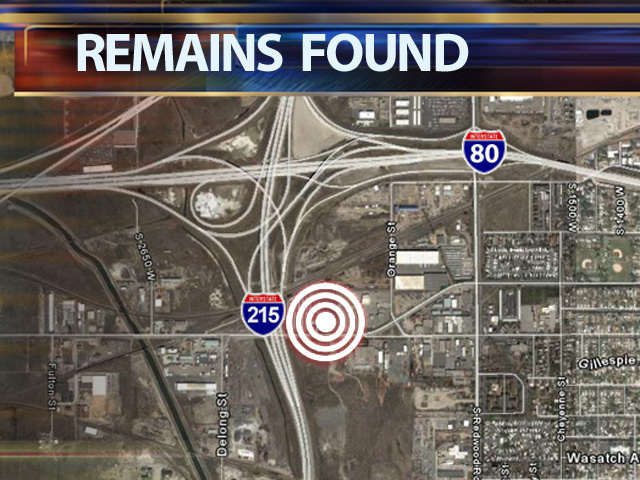 Skeletal Remains Found Near Freeway Interchange