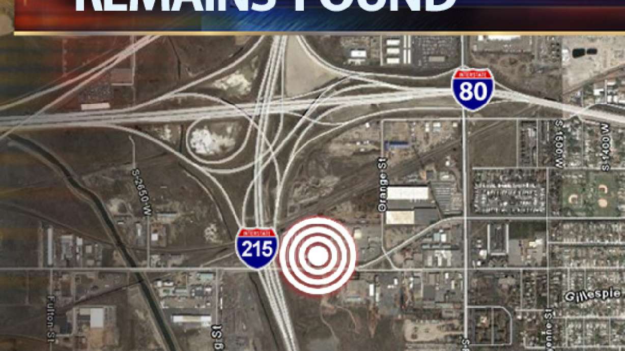 Skeletal Remains Found Near Freeway Interchange