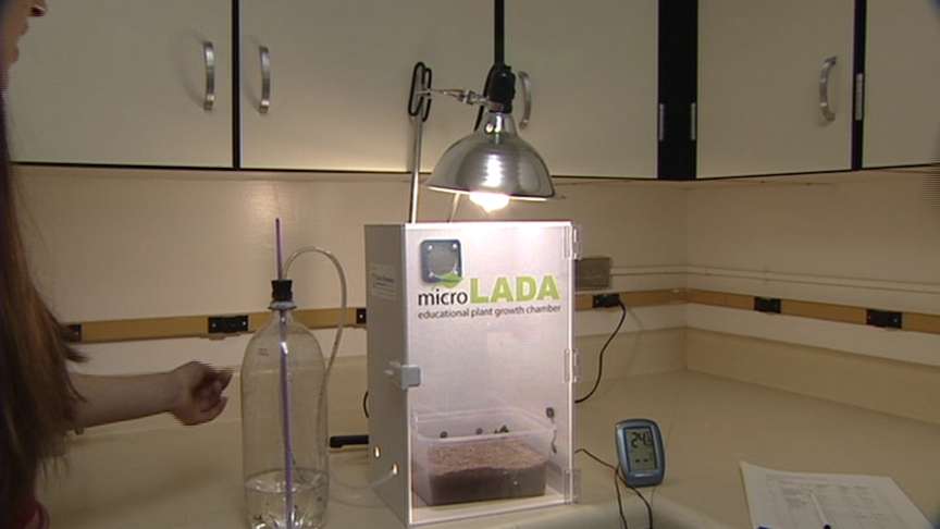 Students Growing Peas for Space Experiment