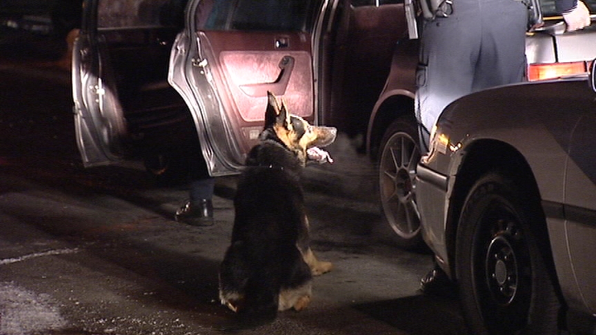 Driving Error Helps Police CatchTeens