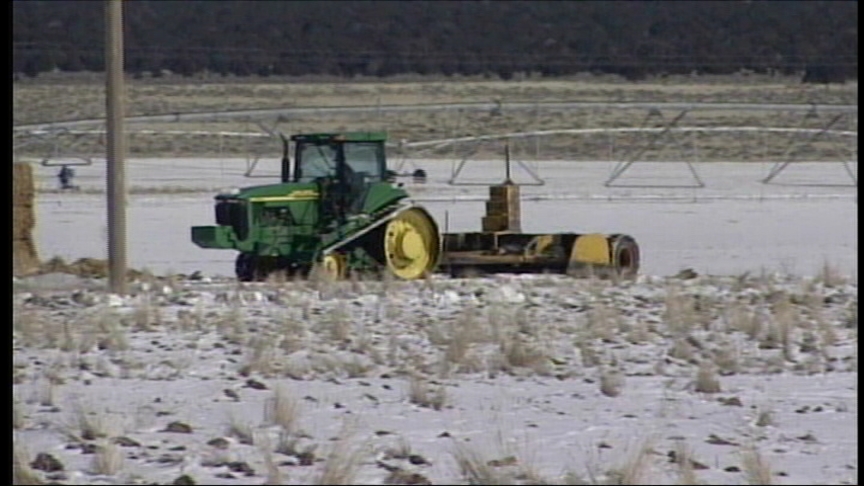 Jeffs May Be Receiving Funding from Nevada Farm