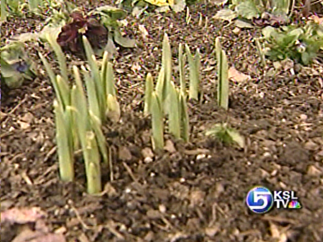 Warm Weather Brings People Outdoors