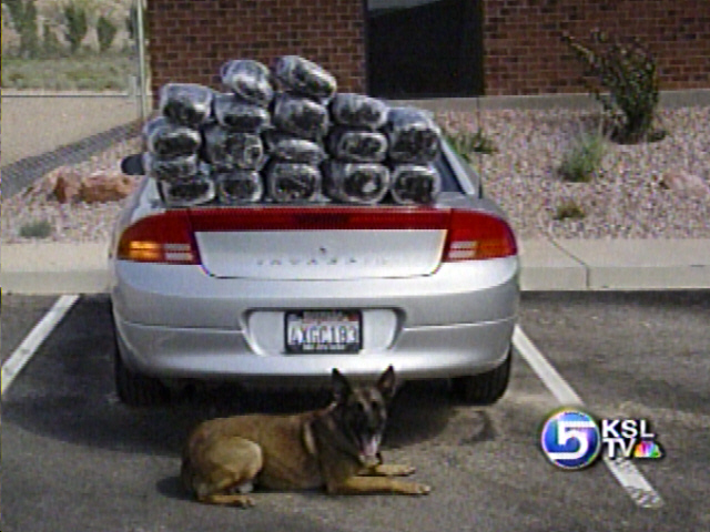 Three Police Dogs Retire