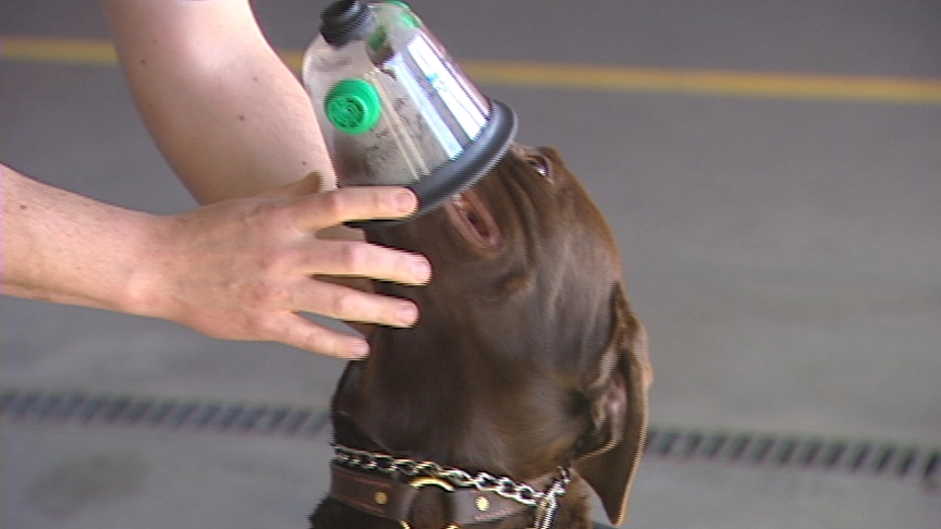 New Tool Helps Firefighters Save Pets