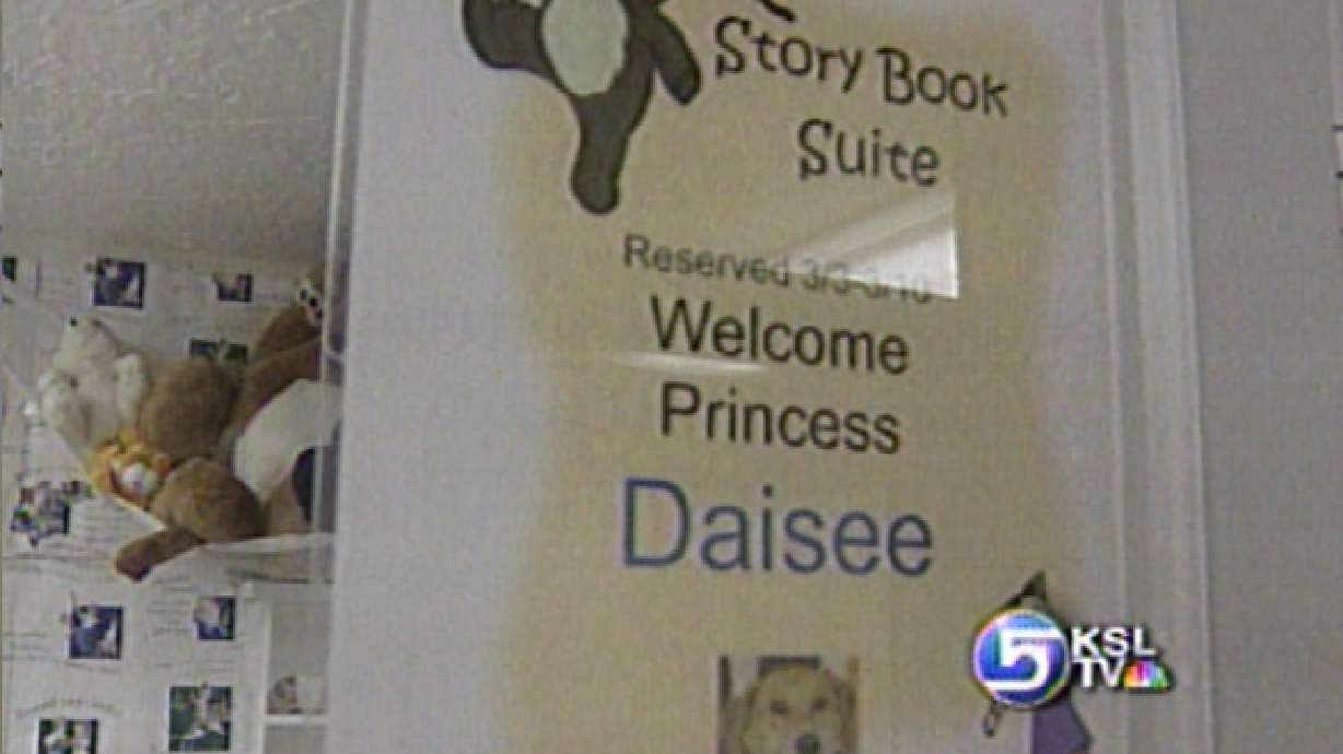 Doggy Hotel Offers Top Quality Treatment for Pets