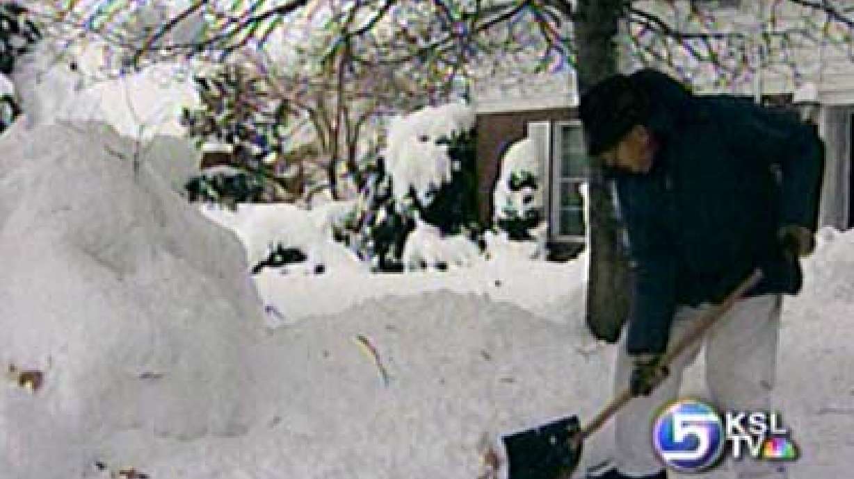 Adopt-a-Senior Program Looking for Volunteers