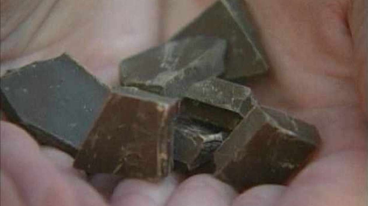 Does "Diet-Chocolate" Help Weight Loss?