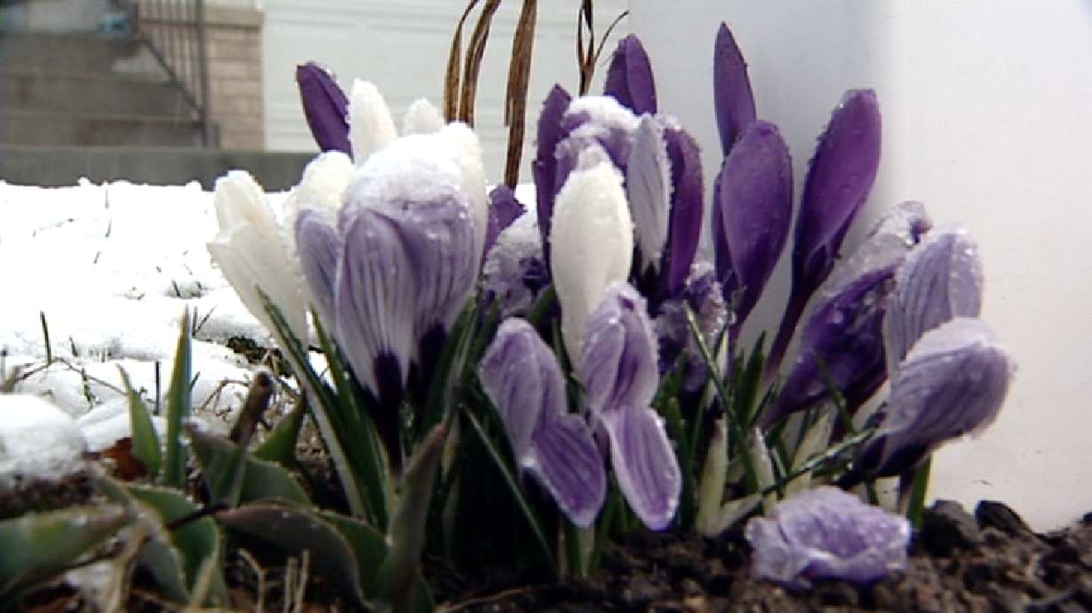 Why is it warm before it storms?