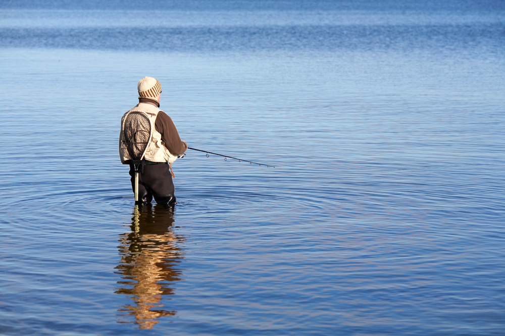 Local Ponds Getting Stocked with Fish