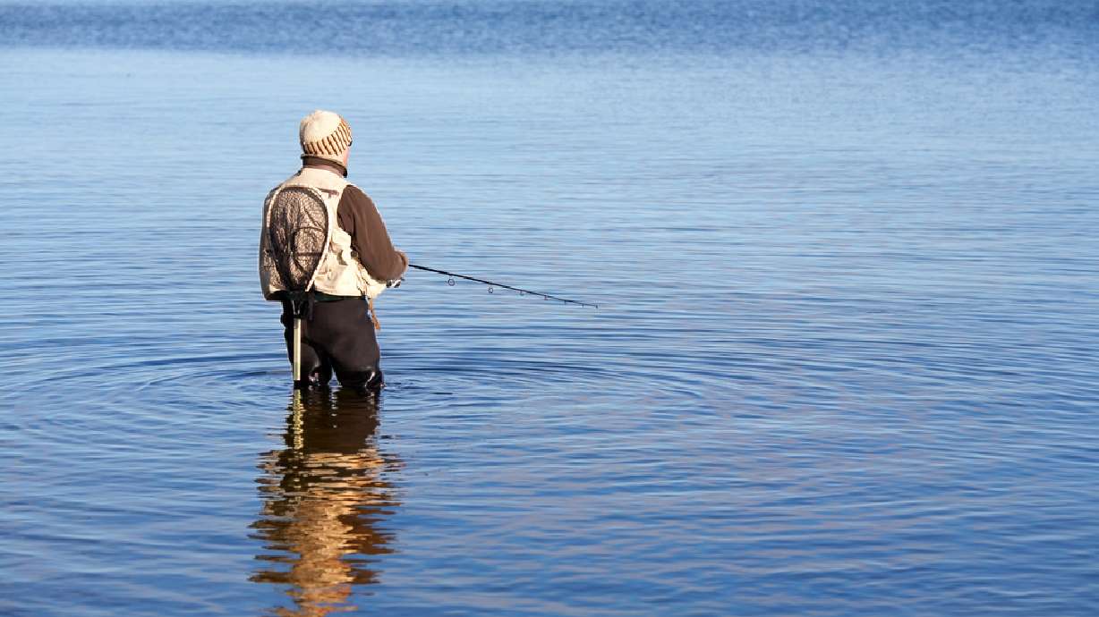Local Ponds Getting Stocked with Fish