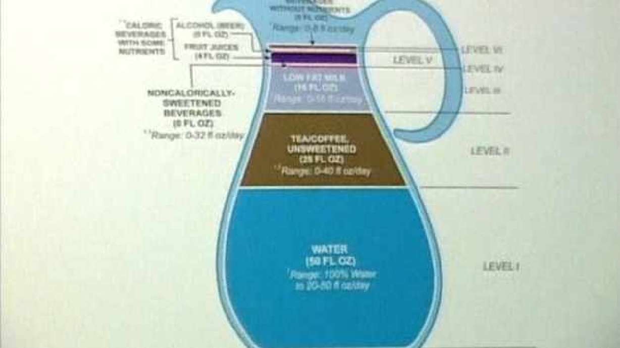 Food Pyramid for Drinks