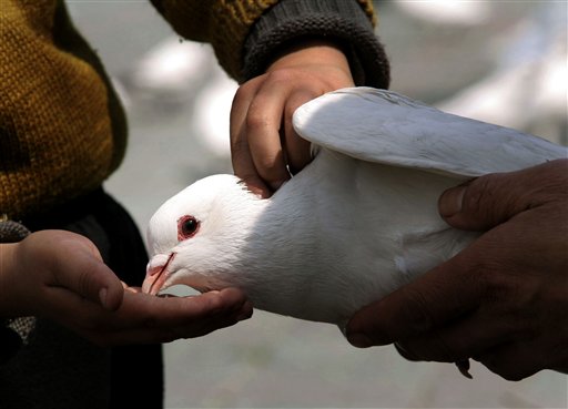 Summit Held to Prepare Utah for Bird Flu Pandemic