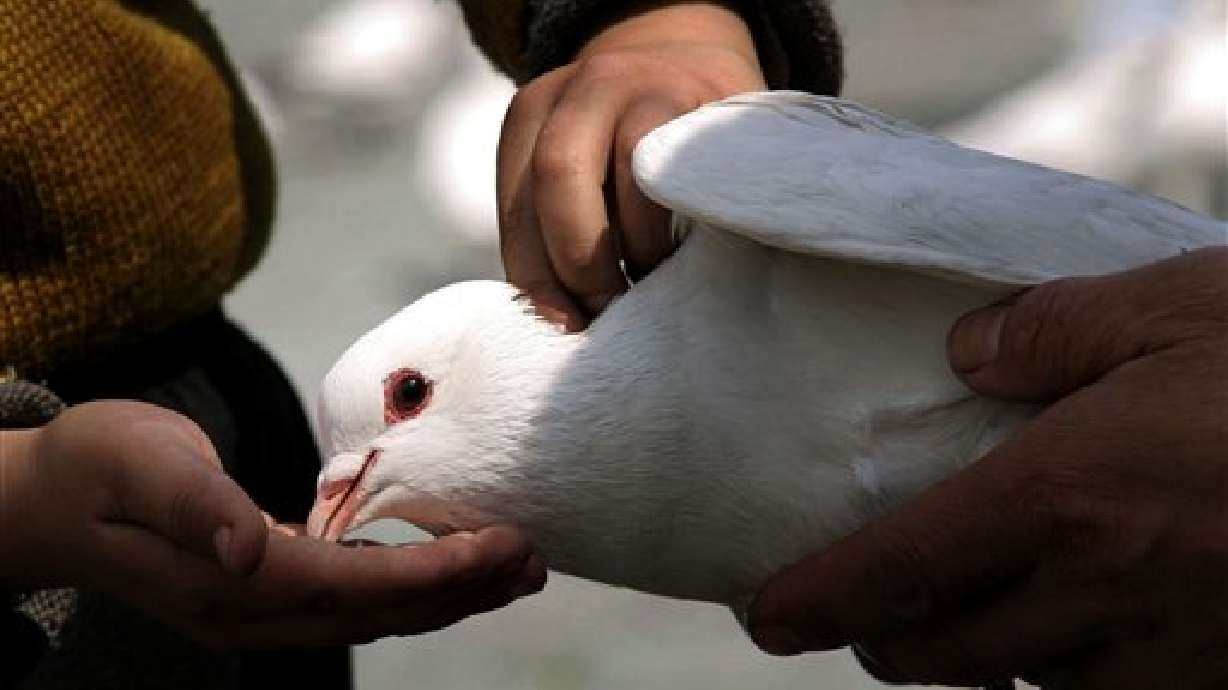 Summit Held to Prepare Utah for Bird Flu Pandemic