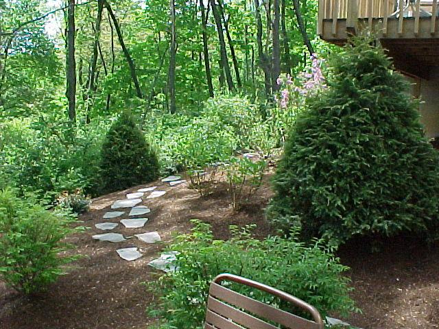 Basic Landscape Design