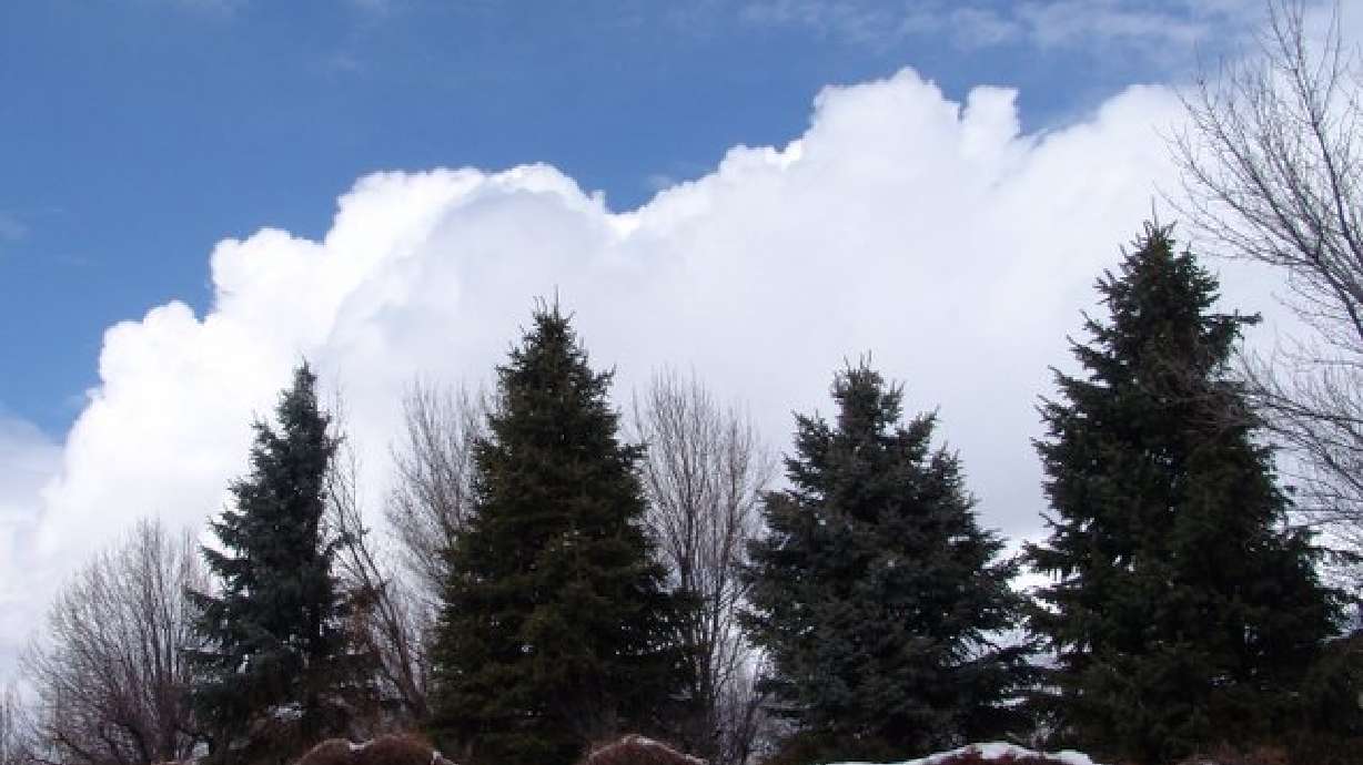 Lightning In The Winter