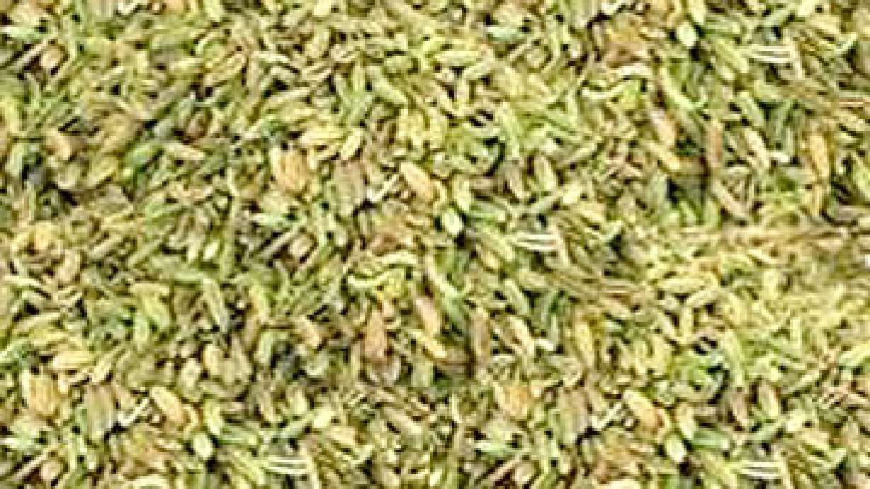 Growing Plants From Seed