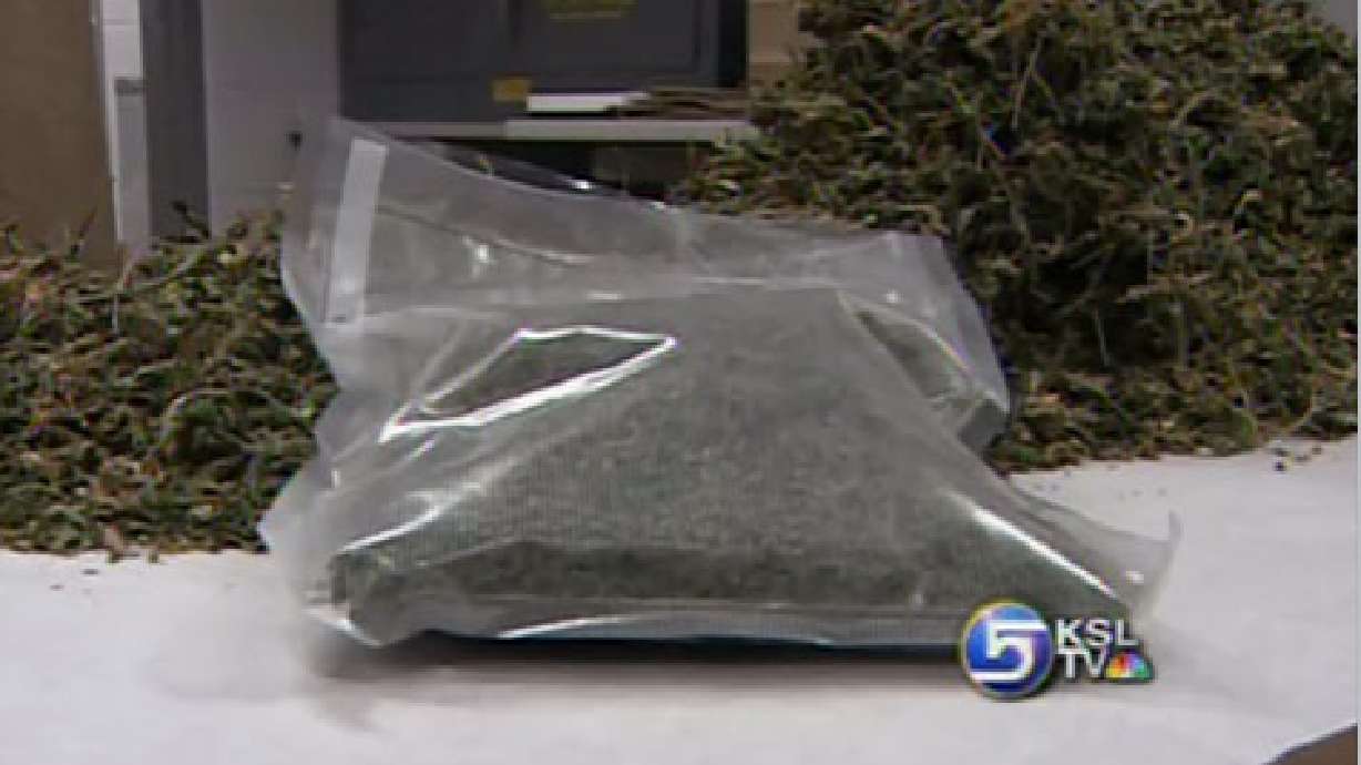 Logan Police Make Biggest Pot Bust in 20 Years