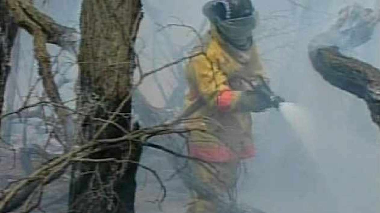 Hundreds of Utah Communities at Risk for Wildfires