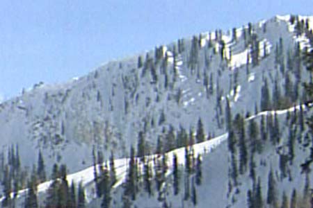 Snowboarder Dies in Avalanche