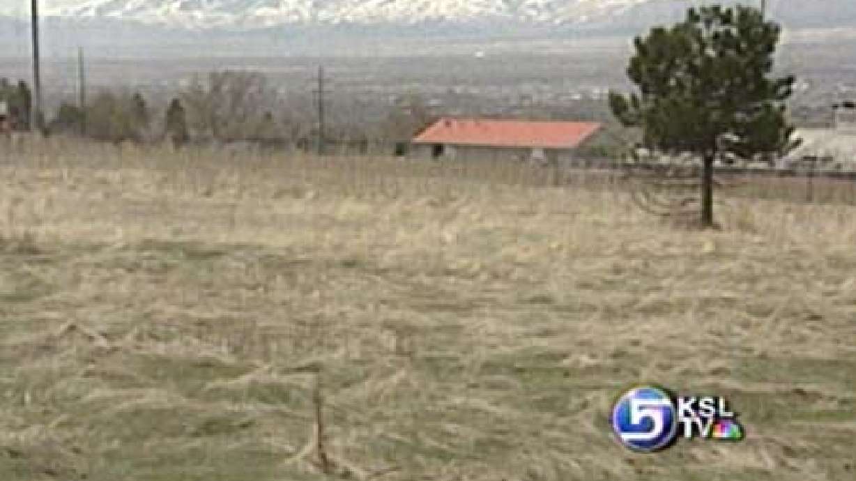 Residents Speak Out About Open Space in Salt Lake