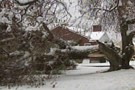 Spring Snowstorm Hits Wasatch Front