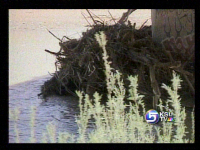 Man Drowns When Canoe Flips in Virgin River