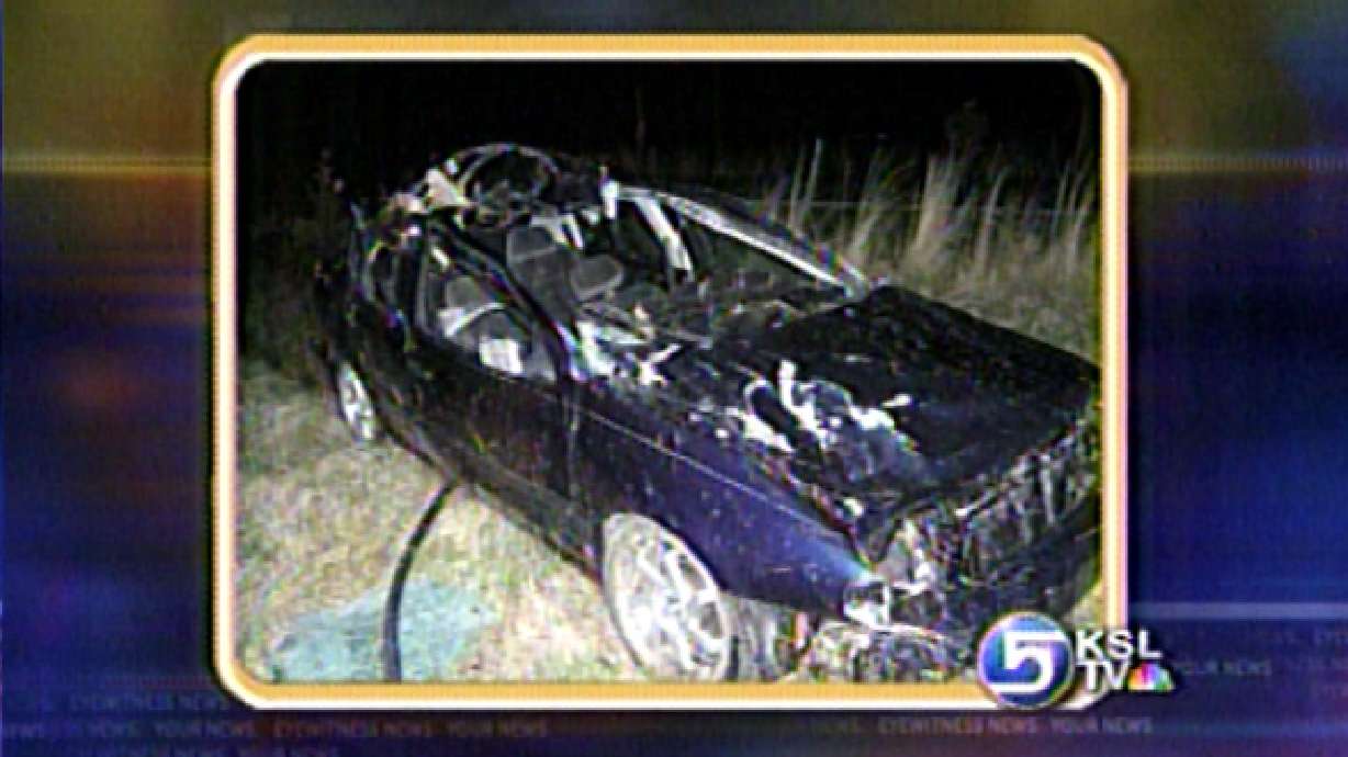 Man Killed After Hitting Cow on SR-77 in Springville