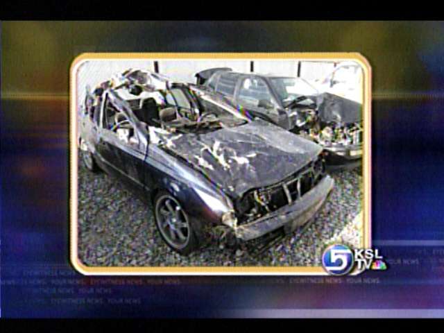 Man Killed After Hitting Cow on SR-77 in Springville