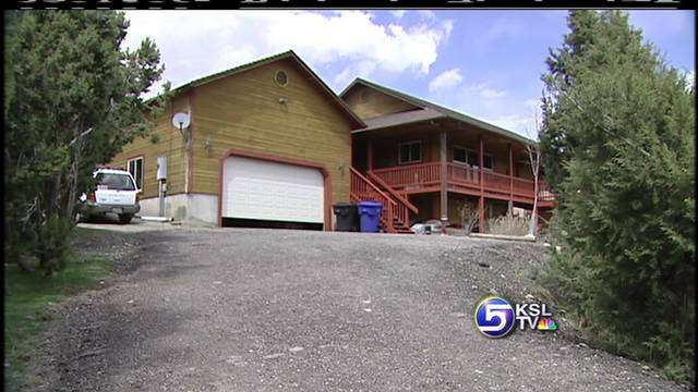 Woman Jailed for Having Too Many Dogs