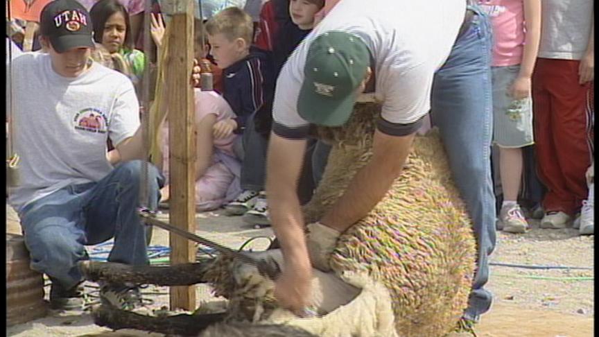 Students Enjoy Farm Field Day