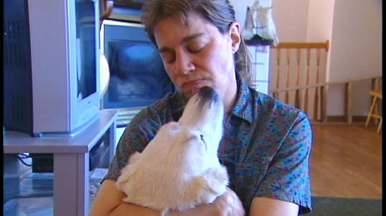 Second Animal Case Kept Woman in Jail Overnight