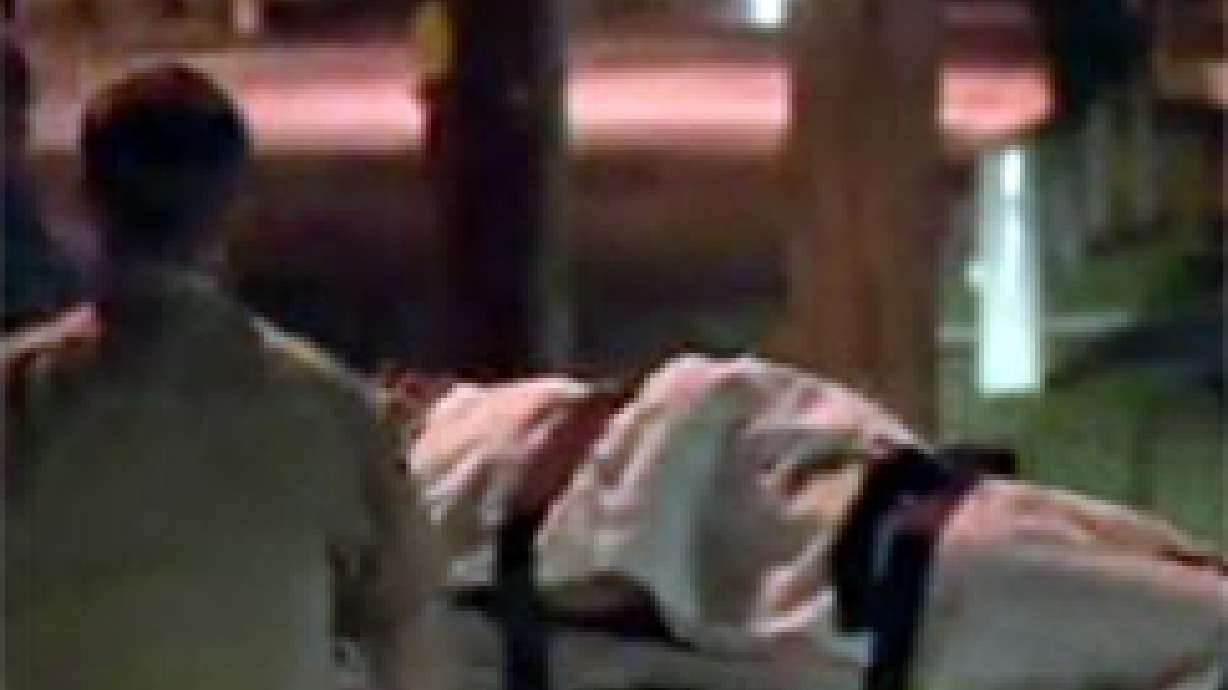 Woman Hit in Head With Axe